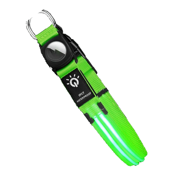 True Blue Pets Waterproof LED Dog Collar - Green