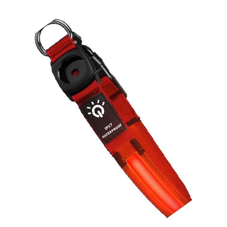 True Blue Pets Waterproof LED Dog Collar - Red