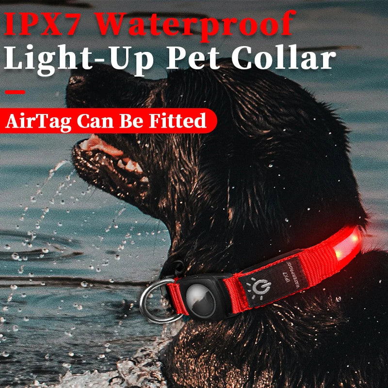 True Blue Pets Waterproof LED Dog Collar with Airtag Pocket