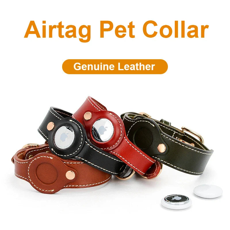 True Blue Pets Luxury Leather Dog Collar with AirTag Pocket - Black