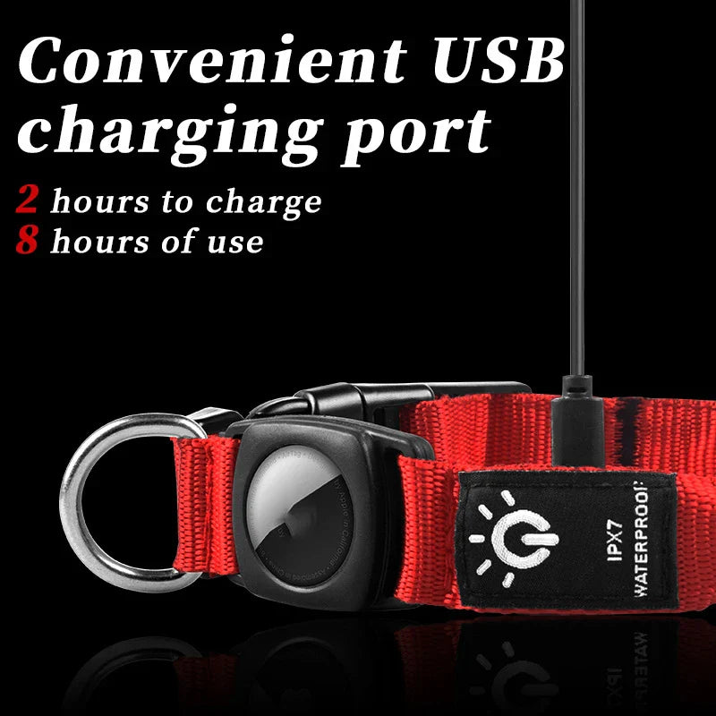 True Blue Pets Waterproof LED Dog Collar - Red