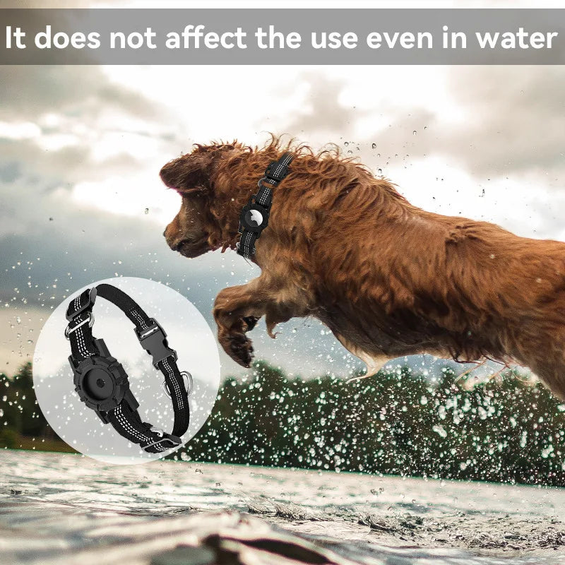 True Blue Pets Waterproof Reflective Dog Collar - Black